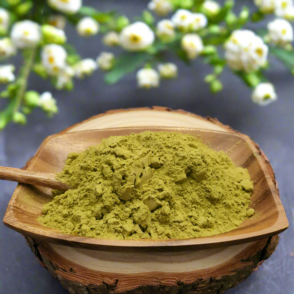 Organic Henna Powder حِنّة عضوية (100g)