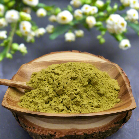 Organic Henna Powder حِنّة عضوية (100g)